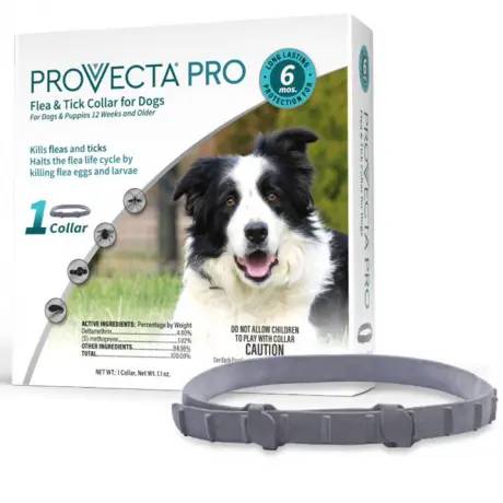 Provecta Pro 6 month Flea and Tick Collar for Dogs