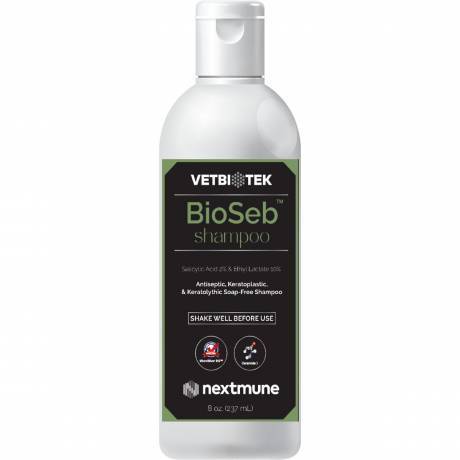 BioSeb Shampoo 8oz