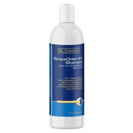 Rx Derm StrataChlor-4% Shampoo 12 oz Bottle