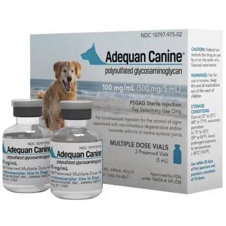 Adequan Canine PSBAB Injection Arthritis in Dogs